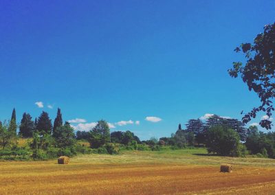 Harvest time, Zrenj, Istria - this field is directly next to our garden. So, as you can see our house for sale is in the most perfect location...